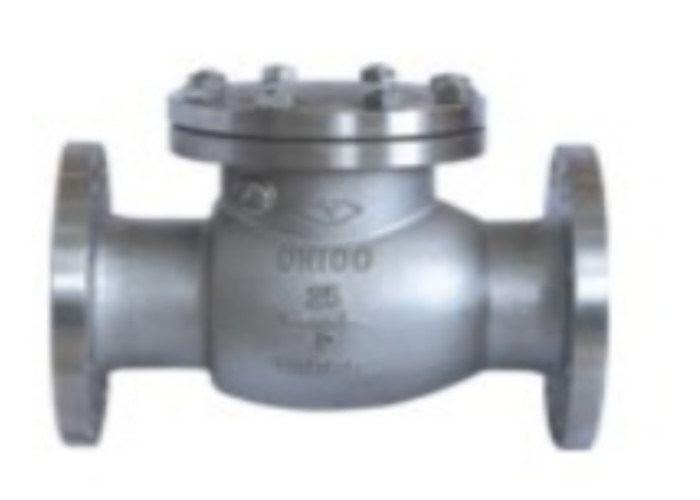 Stainless Steel Flanged Swing Check Valve Material Nitric Acid 1.6/2.5